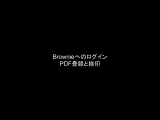 brownie1